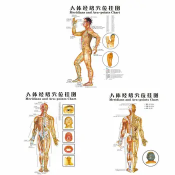 Kineska medicina Akupunkturne Točke Tijela Meridijane i Akupunkturne Točke Chart Chart Karta